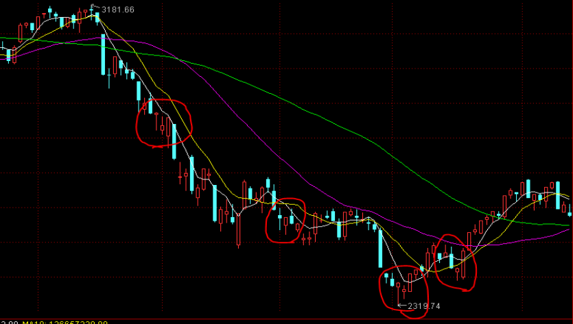 新股解读|传天岳先进(688234.SH)启动2.5-3亿美元IPO预路演 强劲增长预期或催热投资情绪