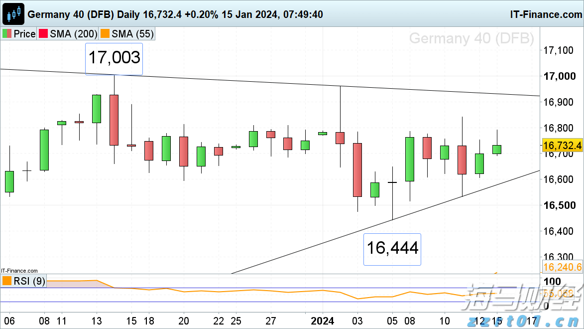 “秋冻”“贴秋膘”有讲究!专家回应秋季养生热门话题